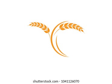 Agriculture wheat Logo Template vector icon design 