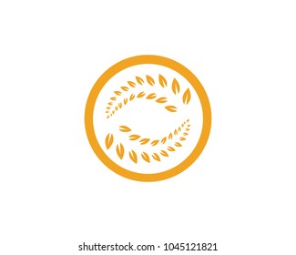Agriculture wheat Logo Template vector icon design
