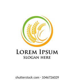 Agriculture wheat Logo Template vector icon design