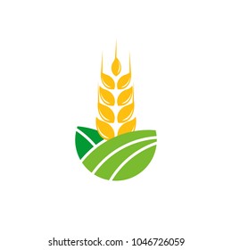 Agriculture wheat Logo Template vector icon design. emblem and label design