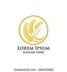 Agriculture wheat Logo Template vector icon design
