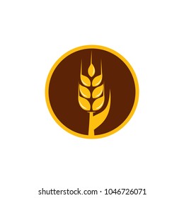 Agriculture wheat Logo Template vector icon design