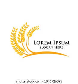 Agriculture wheat Logo Template vector icon design