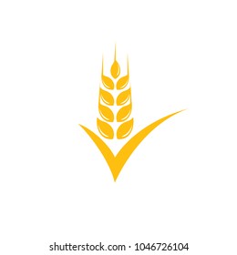 Agriculture wheat Logo Template vector icon design