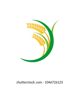 Agriculture wheat Logo Template vector icon design. emblem and label design