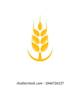 Agriculture wheat Logo Template vector icon design. emblem and label design