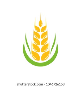 Agriculture wheat Logo Template vector icon design