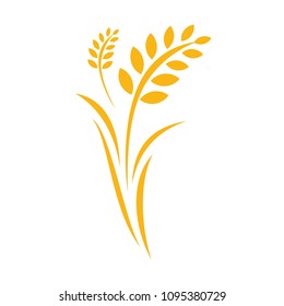Agriculture wheat Logo Template vector icon design