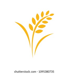 Agriculture wheat Logo Template vector icon design