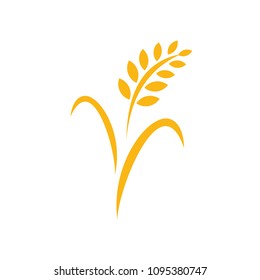 Agriculture wheat Logo Template vector icon design