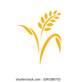 Agriculture wheat Logo Template vector icon design