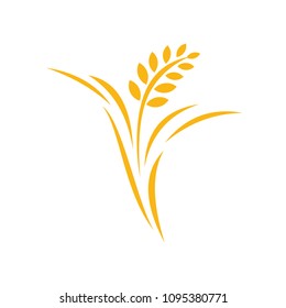 Agriculture wheat Logo Template vector icon design