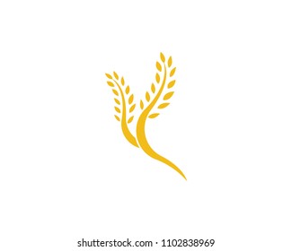 Agriculture wheat Logo Template vector icon design