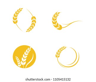 Agriculture wheat Logo Template vector icon design 