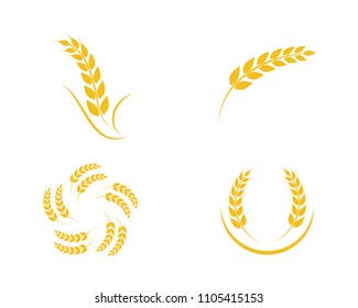 Agriculture wheat Logo Template vector icon design 