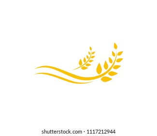 Agriculture wheat Logo Template vector icon design