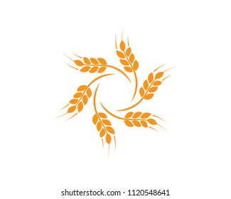 Agriculture wheat Logo Template vector icon design