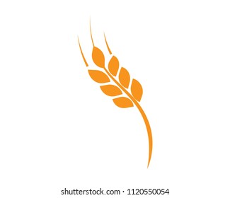 Agriculture wheat Logo Template vector icon design