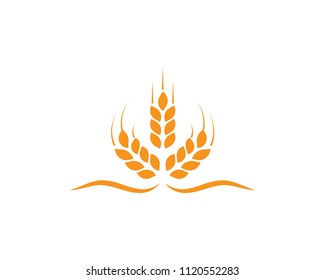 Agriculture wheat Logo Template vector icon design