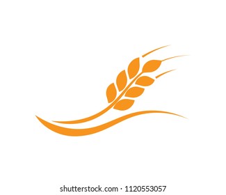 Agriculture wheat Logo Template vector icon design