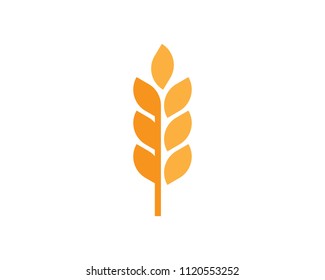 Agriculture wheat Logo Template vector icon design