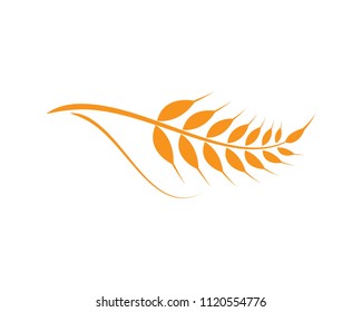 Agriculture wheat Logo Template vector icon design