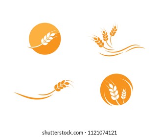 Agriculture wheat Logo Template vector icon design