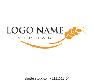 Agriculture wheat Logo Template vector icon design