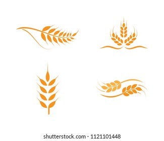 Agriculture wheat Logo Template vector icon design