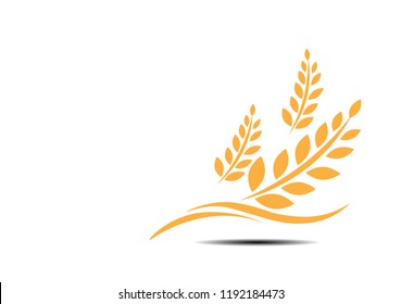 Agriculture wheat Logo Template vector icon design.vector illustration EPS 10.