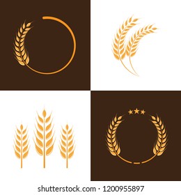 Agriculture Wheat Logo template vector