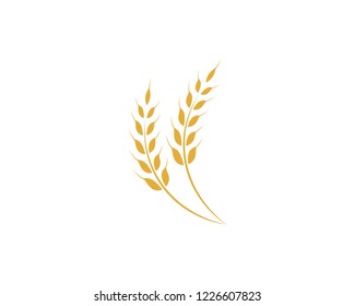 Agriculture wheat Logo Template vector icon design

