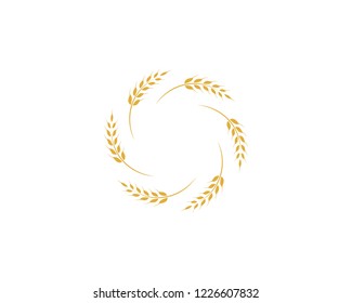 Agriculture wheat Logo Template vector icon design
