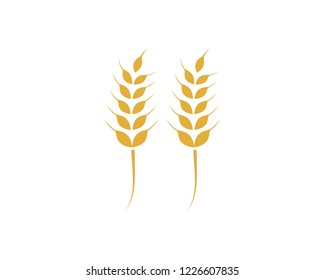 Agriculture wheat Logo Template vector icon design

