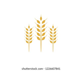 Agriculture wheat Logo Template vector icon design
