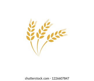 Agriculture wheat Logo Template vector icon design
