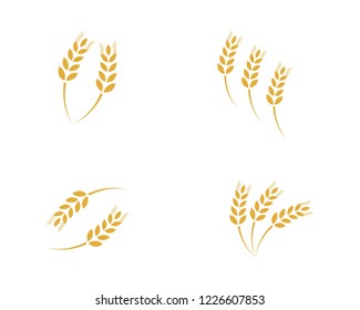 Agriculture wheat Logo Template vector icon design
