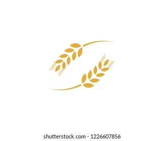 Agriculture wheat Logo Template vector icon design
