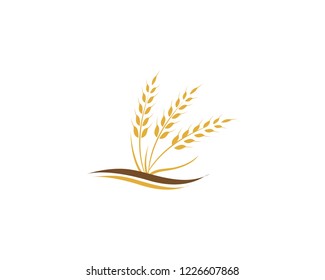 Agriculture wheat Logo Template vector icon design
