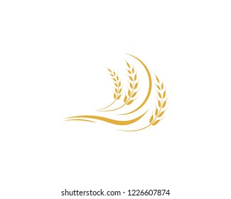 Agriculture wheat Logo Template vector icon design
