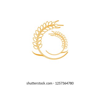 Agriculture wheat Logo Template vector icon design - Vector