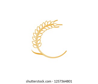 Agriculture wheat Logo Template vector icon design - Vector