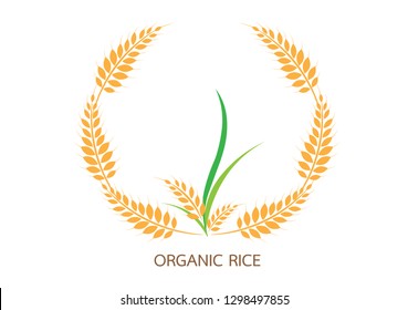 Agriculture wheat Logo Template vector icon design.vector illustration EPS 10.