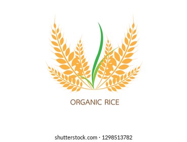 Agriculture wheat Logo Template vector icon design.vector illustration EPS 10.