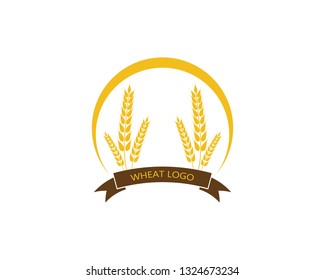 Agriculture wheat Logo Template vector icon design 