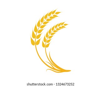 Agriculture wheat Logo Template vector icon design 
