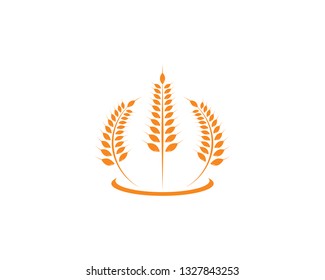 Agriculture wheat Logo Template vector icon design