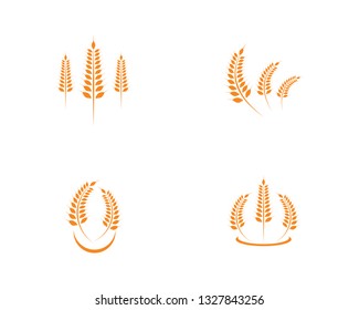 Agriculture wheat Logo Template vector icon design