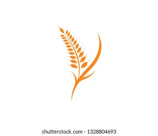 Agriculture wheat Logo Template vector icon design