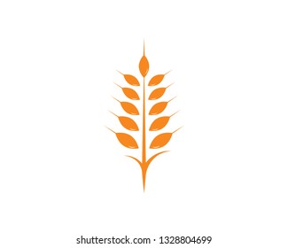 Agriculture wheat Logo Template vector icon design